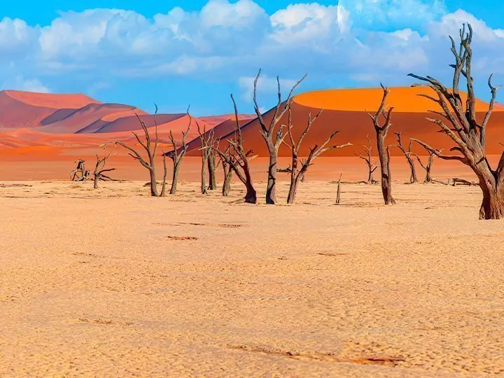 Praktisk informasjon om Namibia