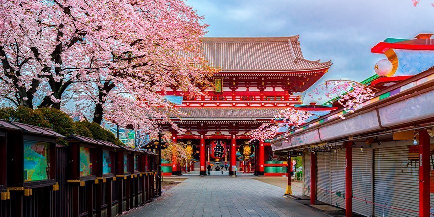 Sakura ved Sensoji-ji-tempelet i Tokyo