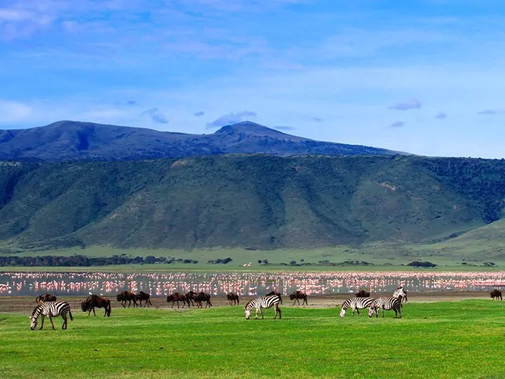 Opplev Ngorongoro-krateret