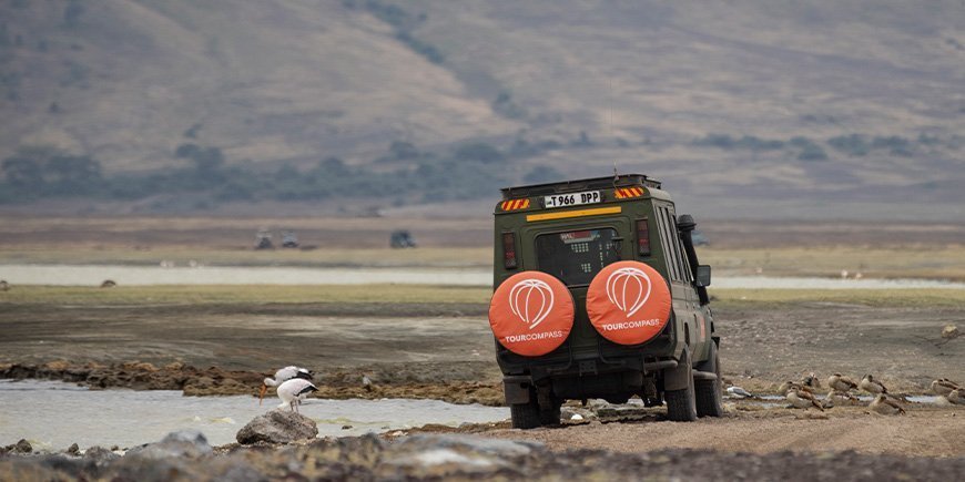 TourCompass-jeep i Ngorongoro-krateret i Tanzania