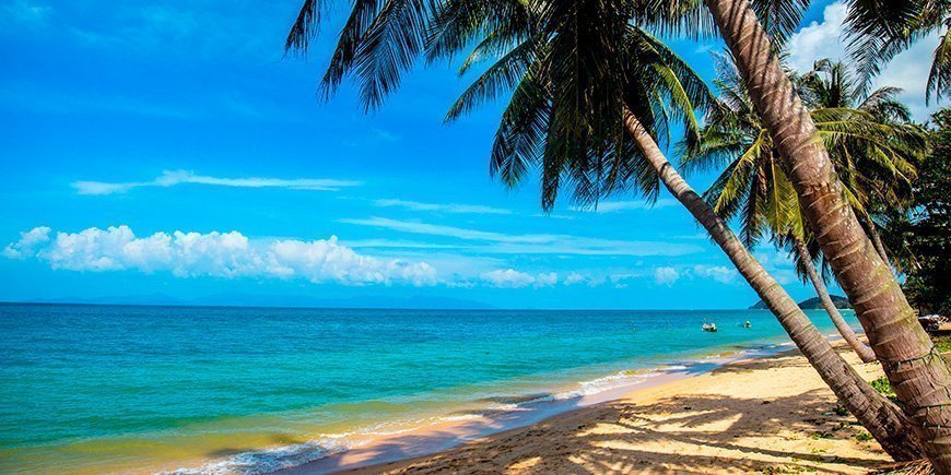 Palmetre på Mae Nam Beach på Koh Samui i Thailand.