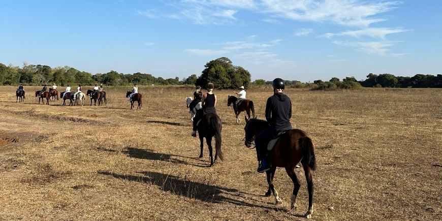 Ridning på hesteryggen i Pantanal i Brasil