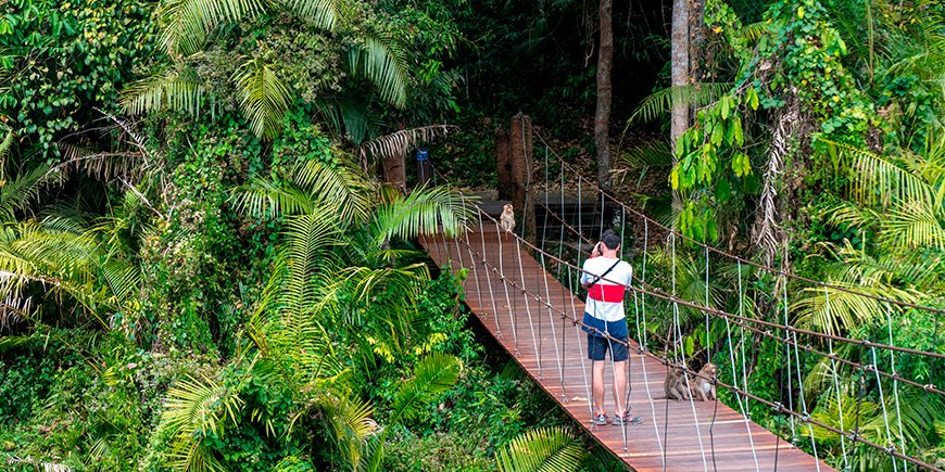 Mann på bro i Khao Yai nasjonalpark