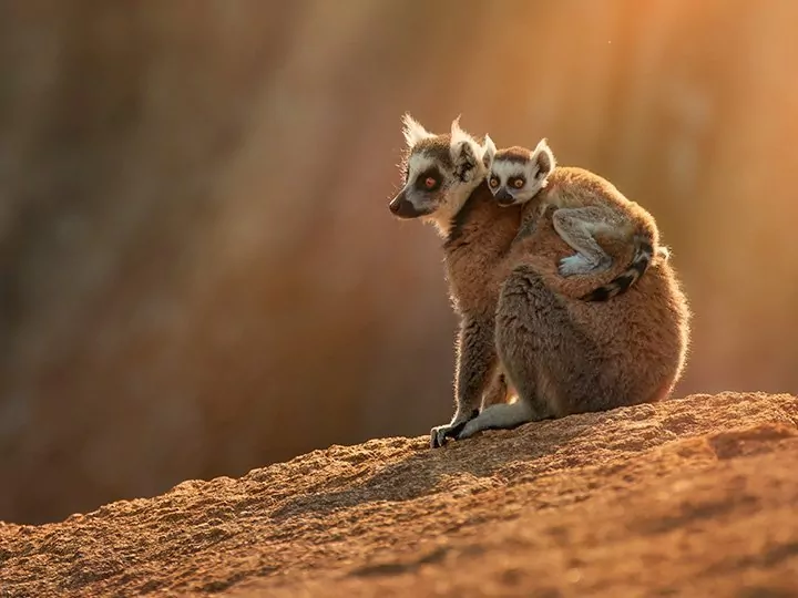 Praktisk informasjon om Madagaskar