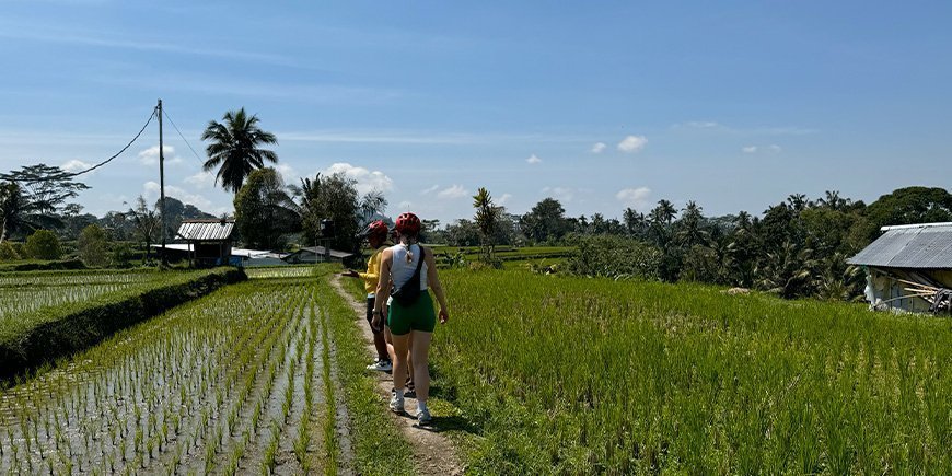 Vandring i rismarker på Bali