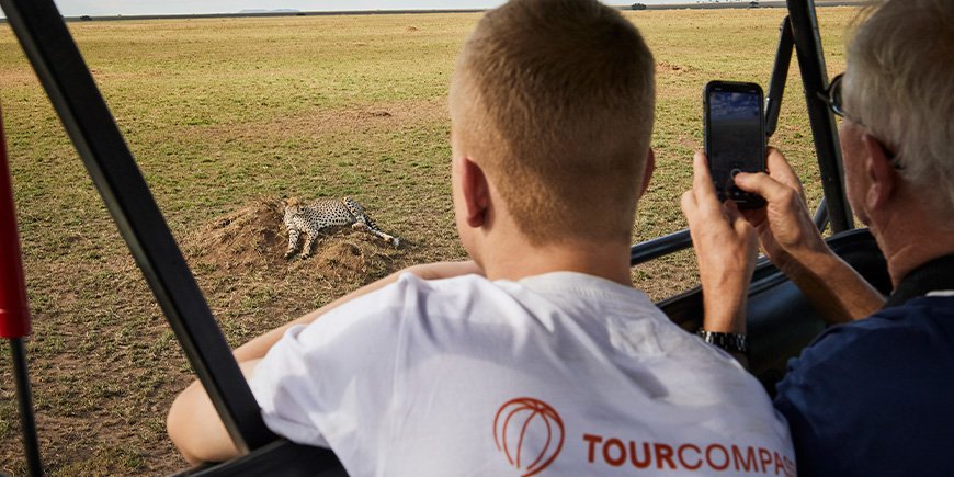 To menn ser på geparder som ligger på savannen i Serengeti