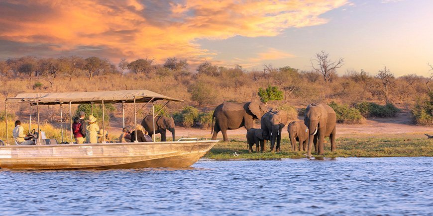 Båt seiler forbi en gruppe elefanter på Chobe-elven i Botswana