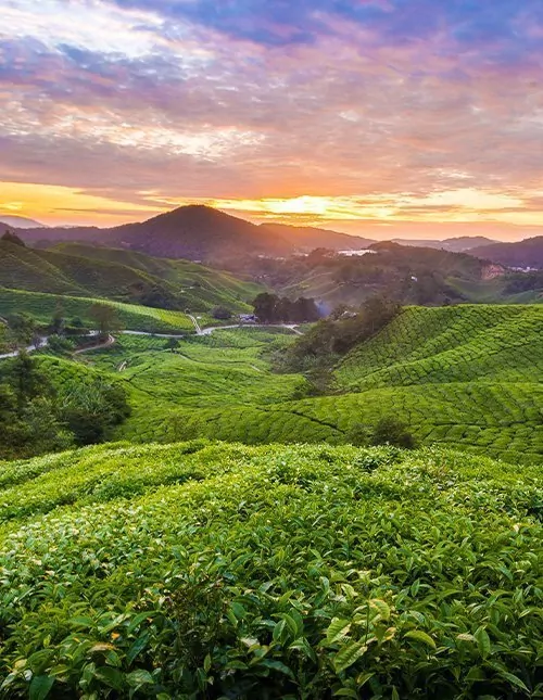 Malaysias høydepunkter & badeferie på Langkawi