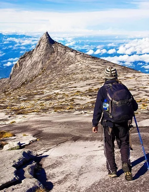 Dyreliv, Mt. Kinabalu-vandring & badeferie på Gaya Island