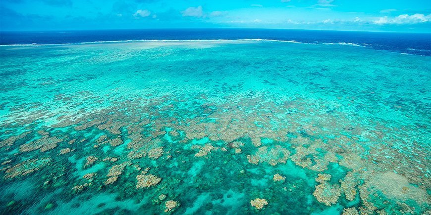 Utsikt over Great Barrier Reef i nærheten av Cairns i Australia