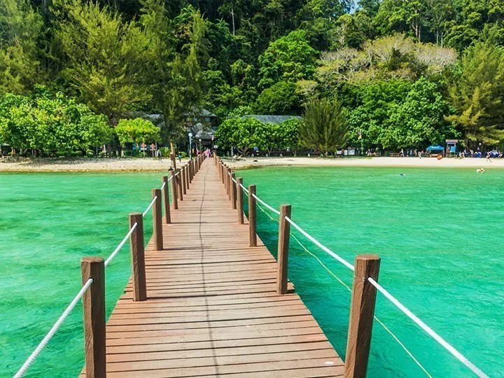 Dyreliv, Mt. Kinabalu-vandring & badeferie på Gaya Island